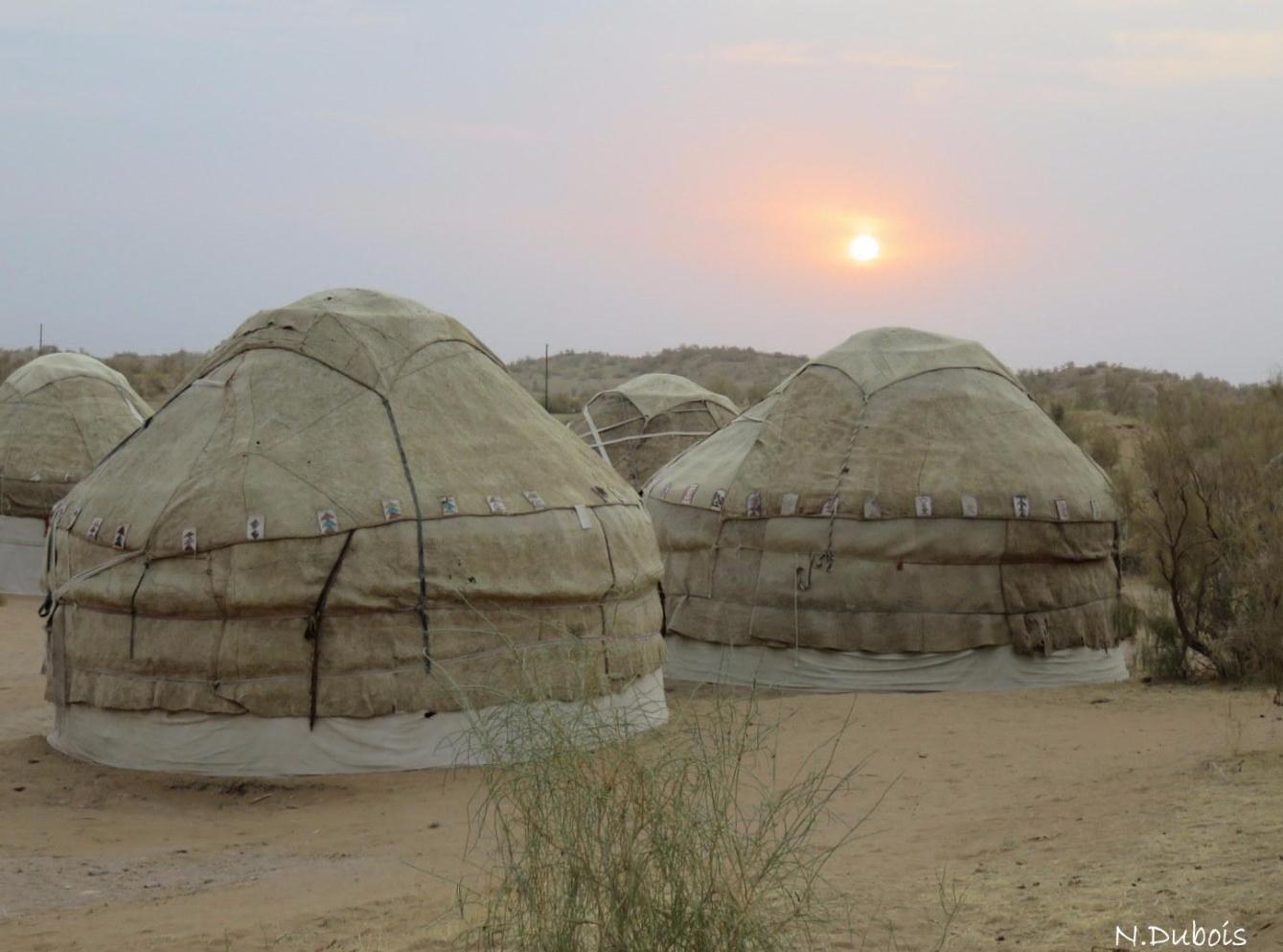 aidar_yurt_camp_2